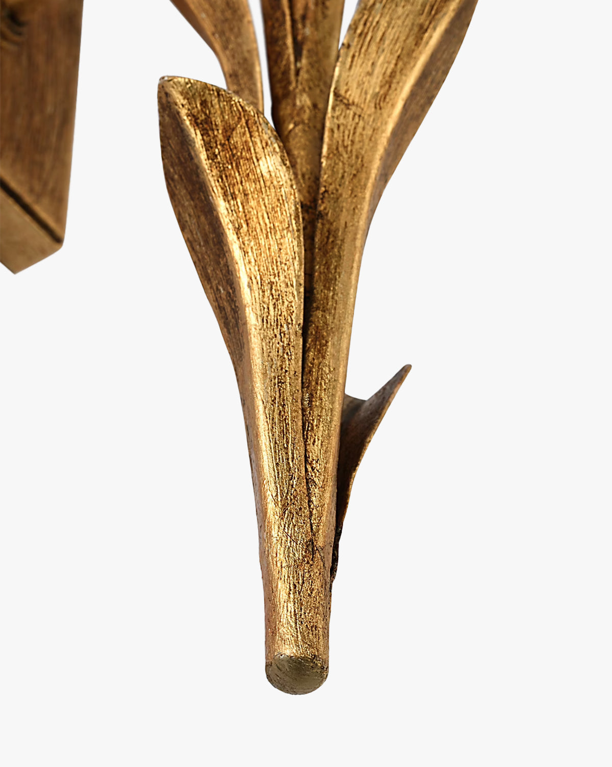 Provenz Tail Sconce