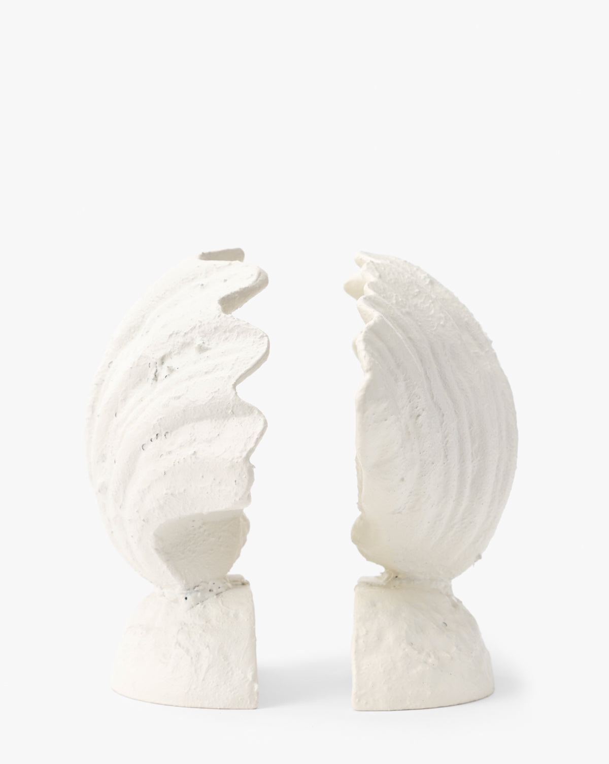 Shell Bookends (Set of 2)